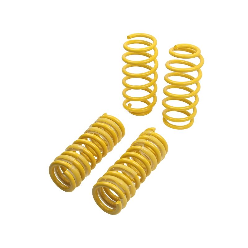 ST Suspension Lowering Springs for 04-10 Chrysler 300C 2WD/06-10 Dodge Charger 05-08 Magnum (65503)