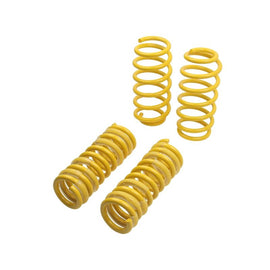 ST Suspension Lowering Springs for 04-10 Chrysler 300C 2WD/06-10 Dodge Charger 05-08 Magnum (65503)