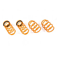 Load image into Gallery viewer, Ark Performance GT-F Lowering Springs (LF0703-0112)