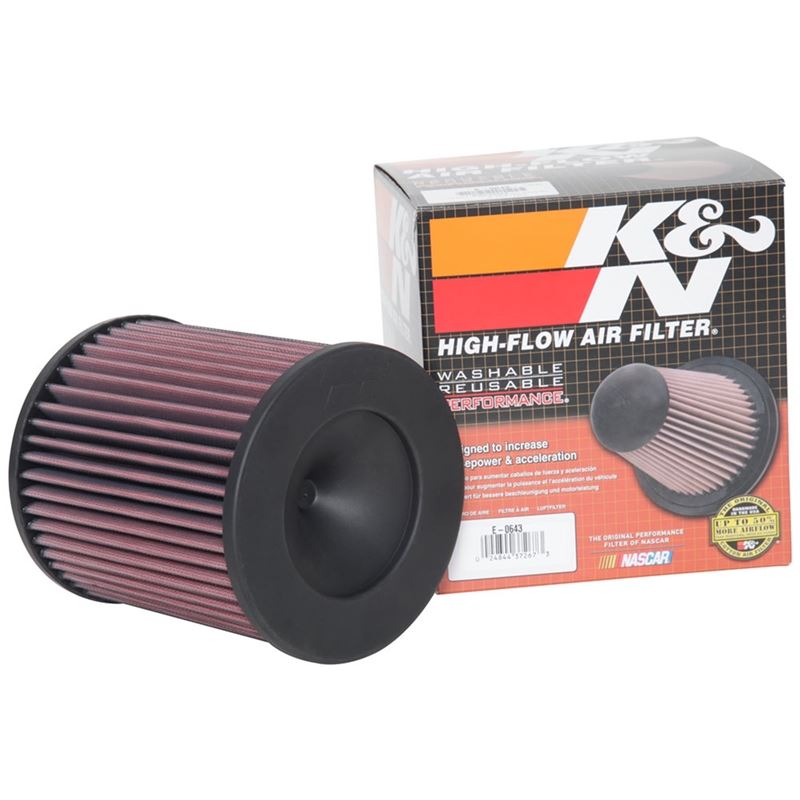 K&N Air Filter (E-0643)