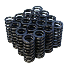 Load image into Gallery viewer, Blox Racing Valve Springs for D-series SOHC VTEC D16Z-Y (1.6L SOHC VTEC) (BXPT-20301)