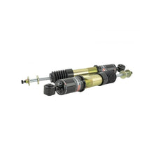 Load image into Gallery viewer, Skunk2 Pro-ST Coilovers for 2014-2015 Honda Civic (541-05-8770)