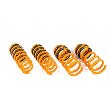 Load image into Gallery viewer, Ark Performance GT-F Lowering Springs (LF1102-0103)