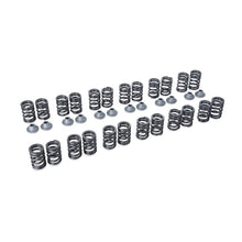 Load image into Gallery viewer, Tomei VALVE SPRING SET RB25DE(T) R33 TYPE-B(TA304A-NS06B)