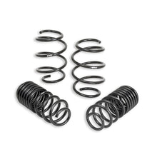 Load image into Gallery viewer, Eibach Springs PRO-KIT Performance Springs, Set of 4 Springs (E10-40-038-01-22)