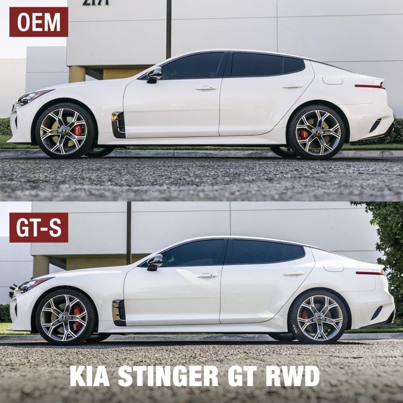 Ark Performance GT-S Lowering Springs for Kia Stinger RWD (LS0804-0018)