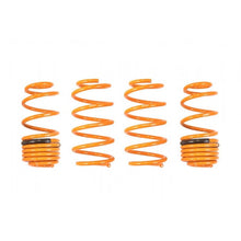 Load image into Gallery viewer, Ark Performance GT-F Lowering Springs (LF0603-0101)