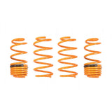 Ark Performance GT-F Lowering Springs (LF0603-0101)