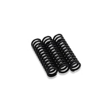 Load image into Gallery viewer, Blox Racing Honda HD Transmission Detent Springs (BXPT-00323)