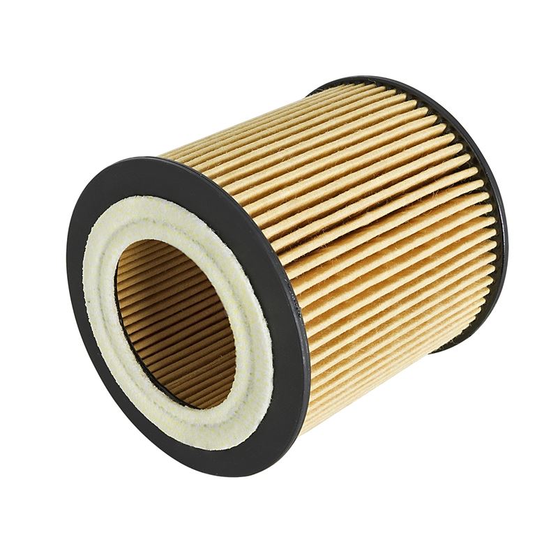 aFe Pro GUARD D2 Oil Filter (44-LF029)