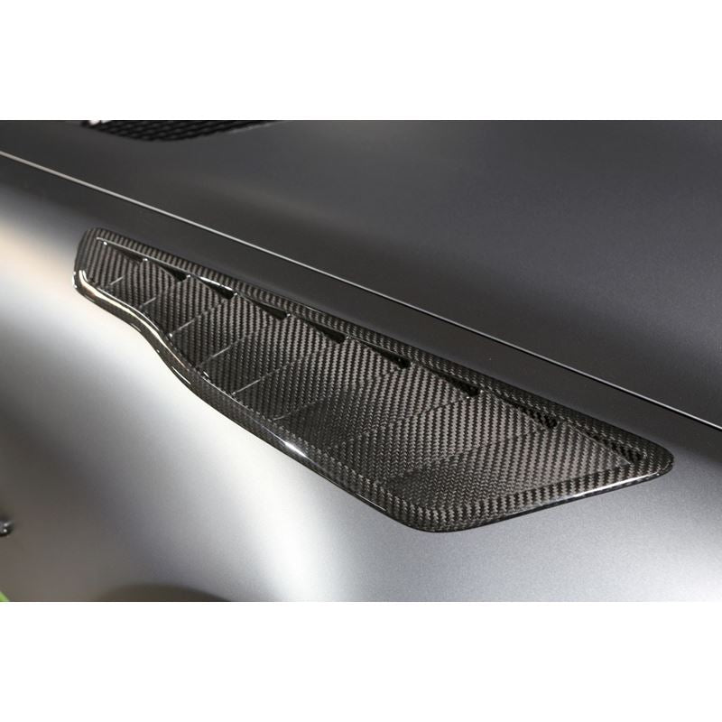 APR Performance Fender Vents for 2020-2020 Mercedes-Benz AMG GT R Pro(CF-580052)