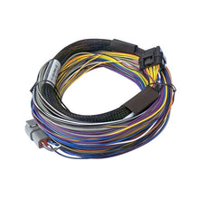 Load image into Gallery viewer, Haltech Elite 750 Basic Universal Wire-in Harness 2.5m (8&#39;) (HT-140602)