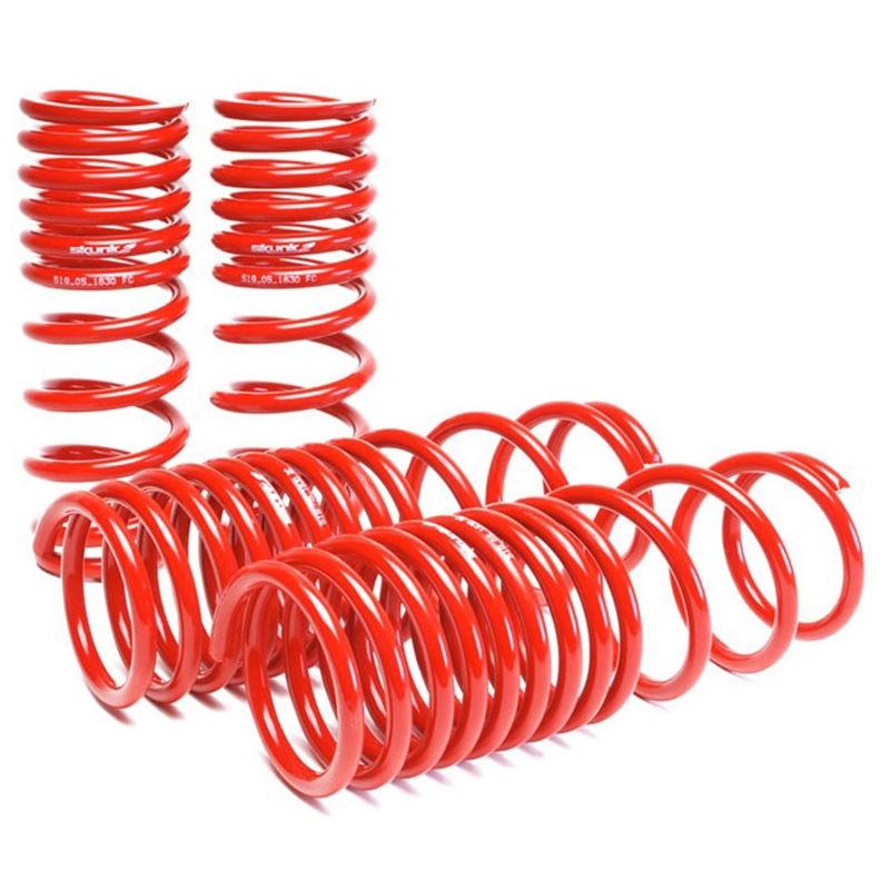 Skunk2 Racing Lowering Coil Spring Set (519-05-1630)