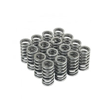 Load image into Gallery viewer, Skunk2 Honda L15B7 Ultra Valve Springs and Spring Base Kit (313-05-9400)