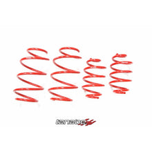 Load image into Gallery viewer, Tanabe NF210 Springs 13-14 Nissan Sentra (TNF175)