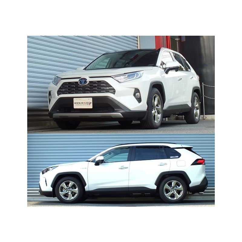 RS-R Down SUS Lowering Springs for 2019+ Toyota RAV4 AWD (T078D)