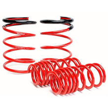 Load image into Gallery viewer, Skunk2 Racing Lowering Coil Spring Set (519-05-1670)