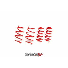 Load image into Gallery viewer, Tanabe NF210 Springs 2016 Scion iM (TNF191)