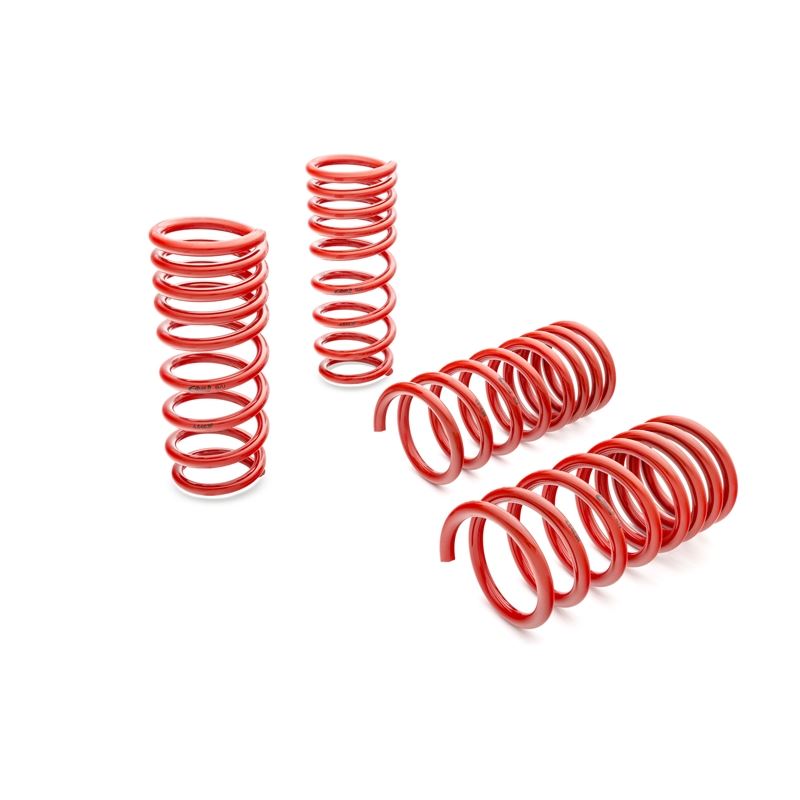 Eibach Springs Sportline Springs (E20-40-036-03-22)