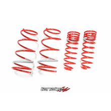 Load image into Gallery viewer, Tanabe NF210 Springs 04-09 Toyota Prius (TNF151)