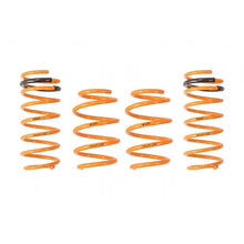 Load image into Gallery viewer, Ark Performance GT-F Lowering Springs (LF0701-1100)