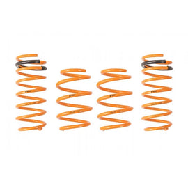 Ark Performance GT-F Lowering Springs (LF0701-1100)