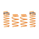 Ark Performance GT-F Lowering Springs (LF0701-1100)