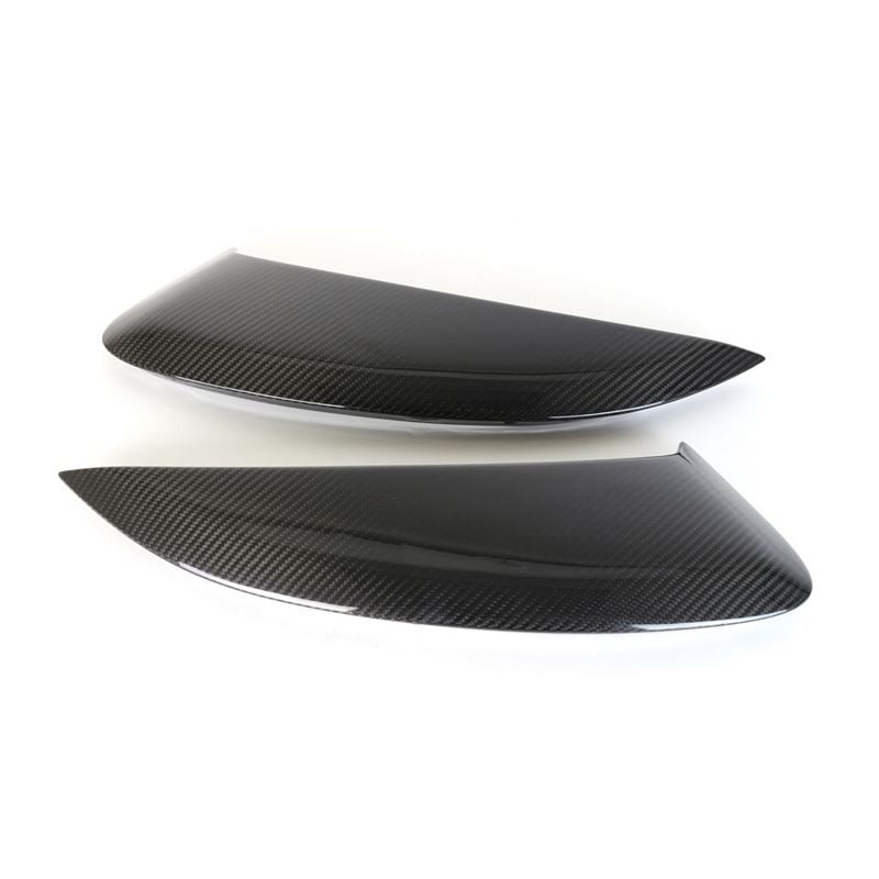 APR Performance Carbon fiber Side Pods (CF-545051)