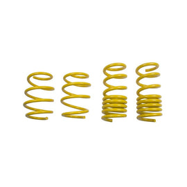 ST Suspension Lowering Springs for Ford Mustang; V8(28230052)