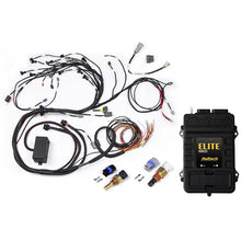 Load image into Gallery viewer, Haltech RB Terminated Harness Base Kit, Elite 2500 ECU, ATS, CTS (HT-151306)