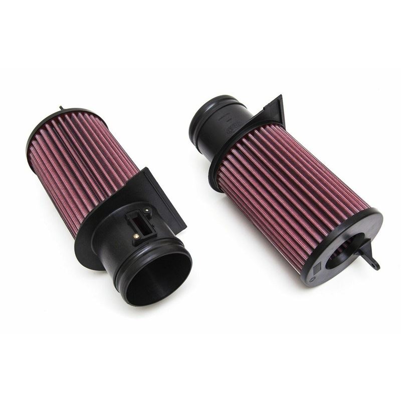 Fabspeed Audi R8 V10 BMC F1 Performance Air Filters (13+) (FS.AUD.R817V10.BMC)