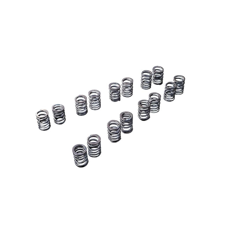 VALVE SPRING KIT SR20DE(T) (TA304A-NS08A)