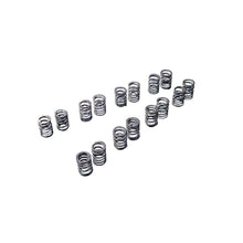 Load image into Gallery viewer, VALVE SPRING KIT SR20DE(T) (TA304A-NS08A)