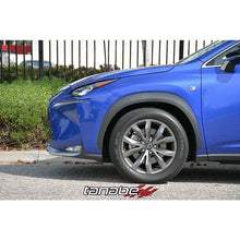 Load image into Gallery viewer, Tanabe NF210 Springs 15-16 Lexus NX200T F-Sport FWD (TNF196)