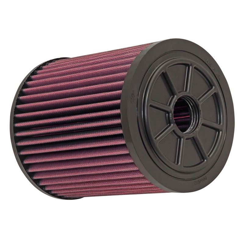 K&N Air Filter (E-0664)