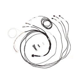 Haltech Semi Terminated Harness for IC-7 Display Dash (HT-060300)