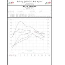 Load image into Gallery viewer, Active Autowerke Performance Software - 2014+ JCW / 2017+ Countryman S (B48) (16-401)