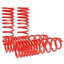 Load image into Gallery viewer, Skunk2 Racing Lowering Coil Spring Set (519-05-1660)