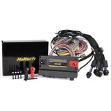 Haltech Nexus R5 + Universal Wire-in Harness Kit - 5M (16') (HT-195201)