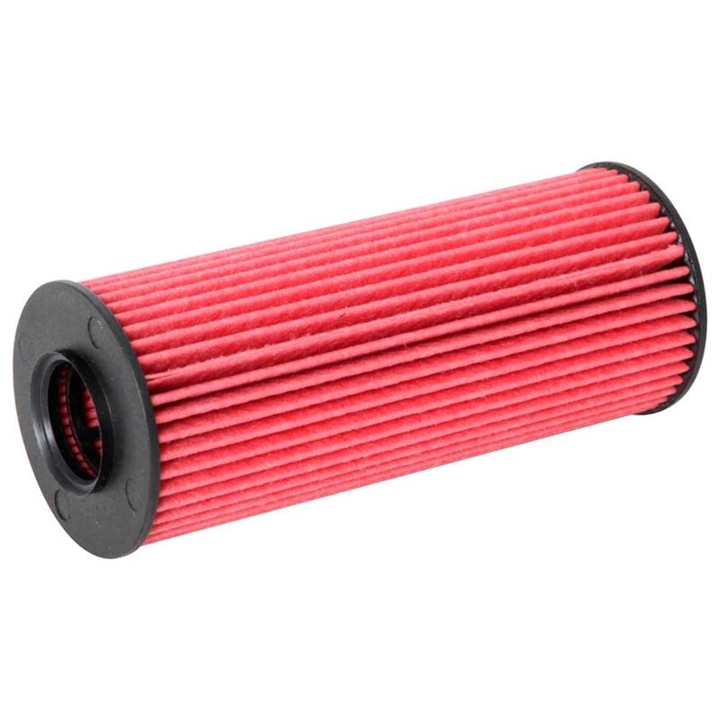 K&N Oil Filter (HP-7025)