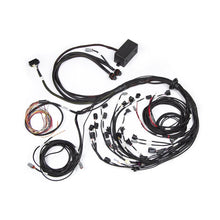 Load image into Gallery viewer, Haltech Elite 2500 Ford Falcon BA/BF Barra 4.0 Terminated Harness (HT-141388)