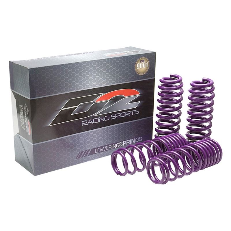 D2 Racing SP Lowering Springs (D-SP-TO-10) – JM Auto Racing