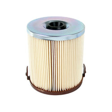 Load image into Gallery viewer, aFe Pro GUARD D2 Fuel Filter (44-FF009)