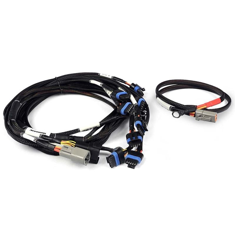 Haltech Nexus V8 IGN-1A Ford Harness (HT-186061)