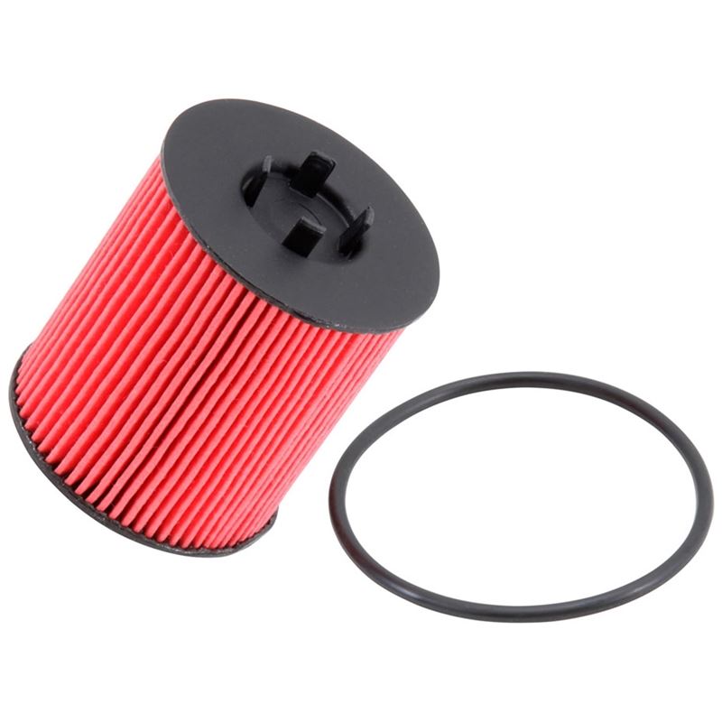 K&N High Flow Oil Filter (PS-7001)