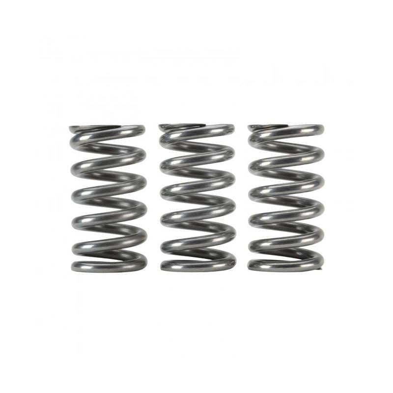 Skunk2 Honda K20C1/K20C4 Ultra Valve Springs and Spring Base Kit (313-05-9100)