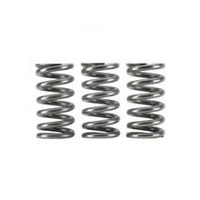 Load image into Gallery viewer, Skunk2 Honda K20C1/K20C4 Ultra Valve Springs and Spring Base Kit (313-05-9100)