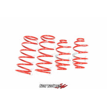 Load image into Gallery viewer, Tanabe NF210 Springs 07-07 Versa (TNF123)