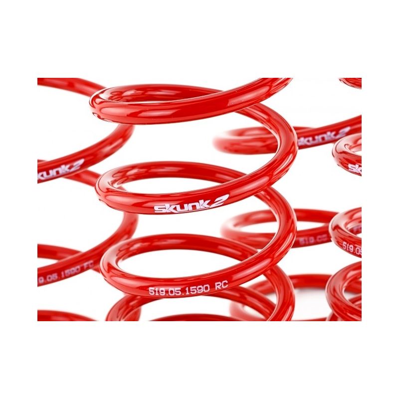 Skunk2 Racing Lowering Springs for 2007-2012 Honda Civic (519-05-1590)