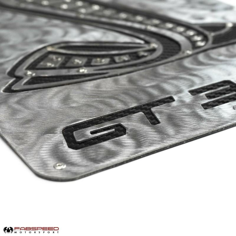 Fabspeed Carbon Fiber Wall Art - Shelby GT350 (FS.GT350.CFSSWA)